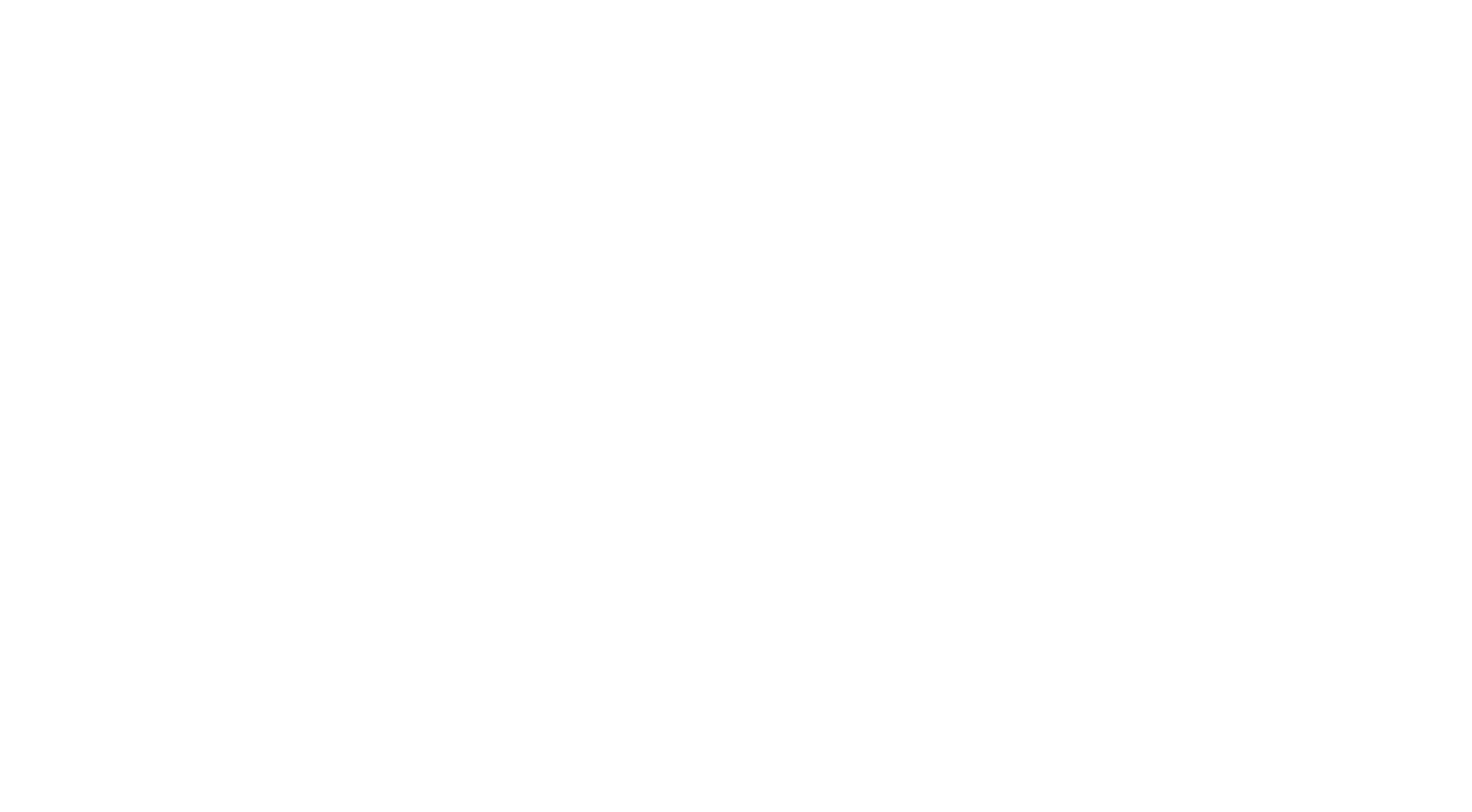 SCARS Official Streetwear Brand Logo